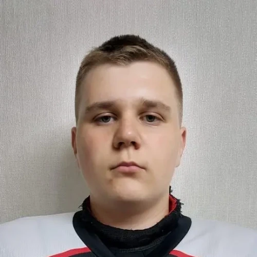 Милосердов Никита Игоревич