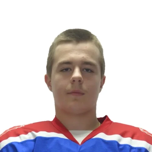 Кубанцев Дмитрий Николаевич
