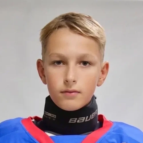 Дёшин Максим Сергеевич