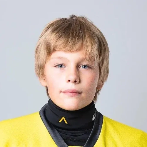 Венчиков Лев Викторович