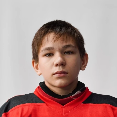 Ильин Арсений Александрович