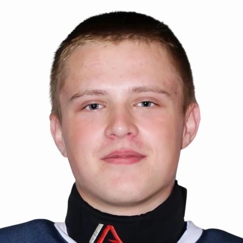 Громов Андрей Сергеевич