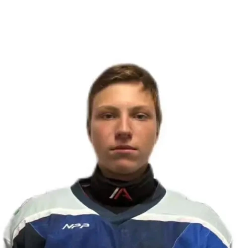 Вельможин Егор Денисович