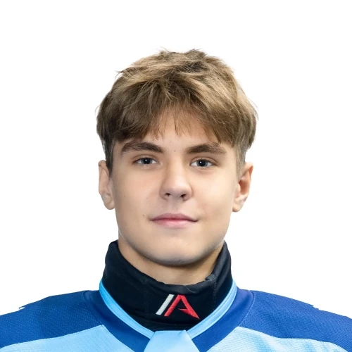 Гринев Денис Александрович