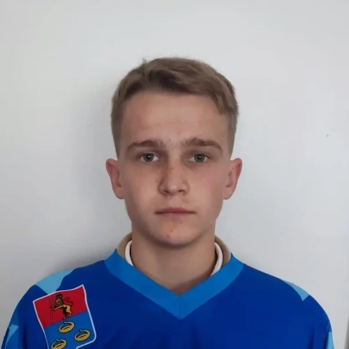 Черемисин Дмитрий Игоревич