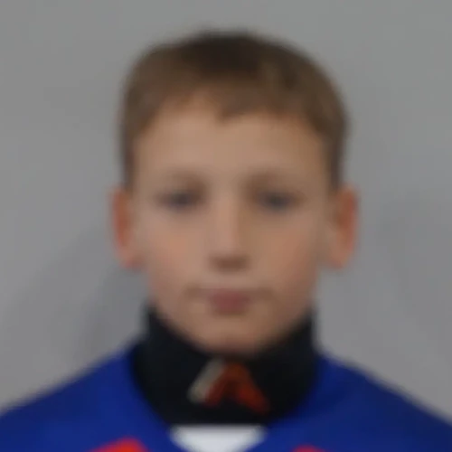 Березинский Артем Алексеевич