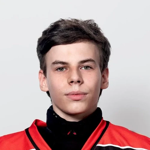 Горшков Дмитрий Алексеевич