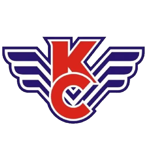 Крылья Советов