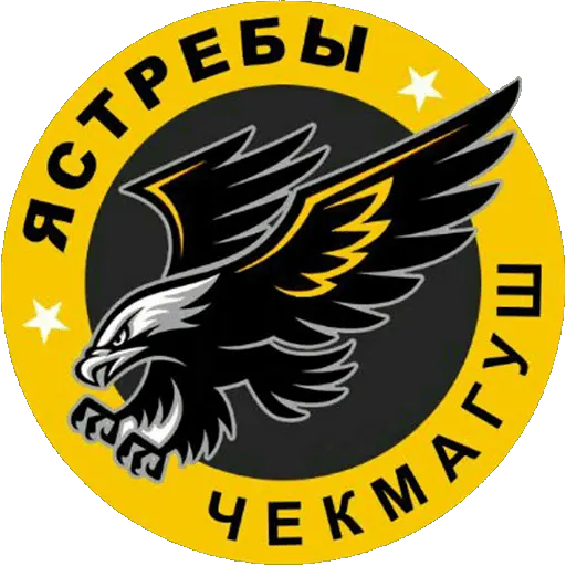 Ястребы