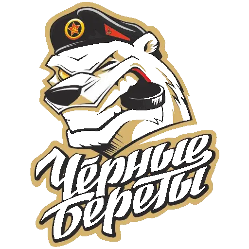 ХК Чёрные Береты