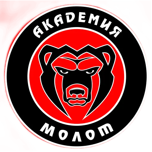 Академия Молот