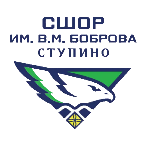 СШОР Им. В.м. Боброва