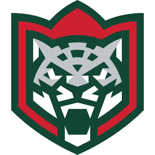 Ак Барс
