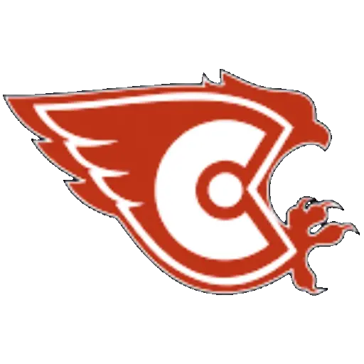 Сокол