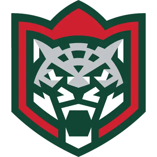Ак Барс