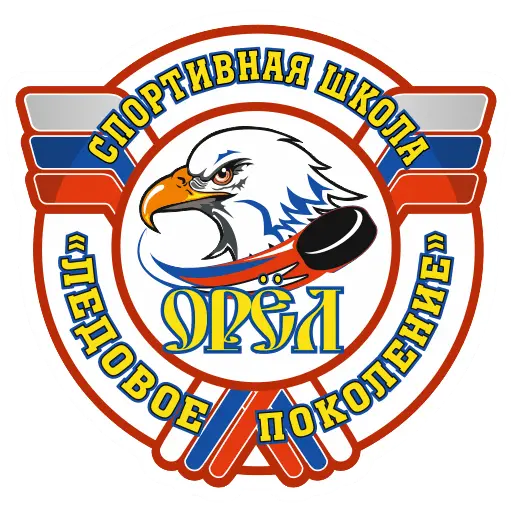 СШ Ледовое Поколение